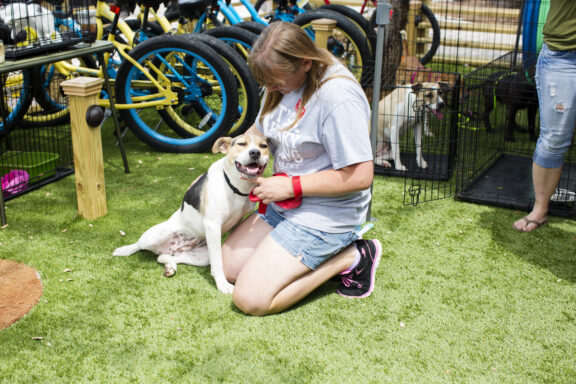 woman petting dog on ground outside