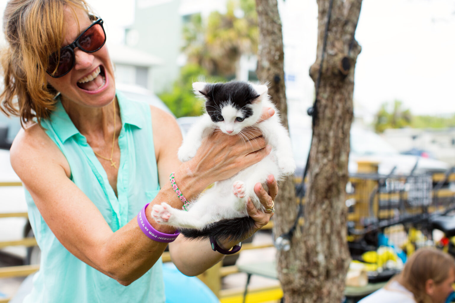 Adopt A Pet Walton County Sheriff's Office, FL