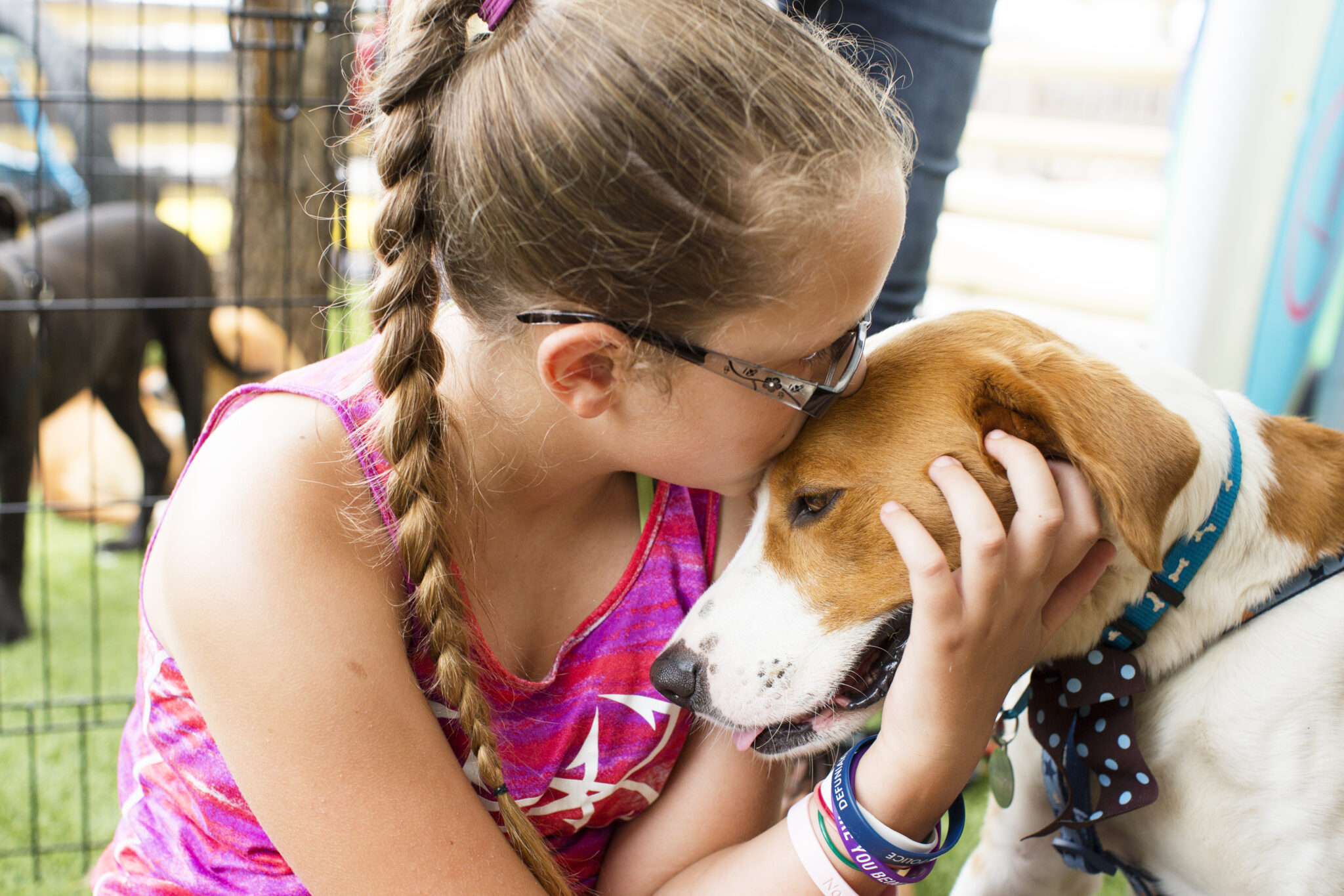 Lost Pets Walton County Sheriff's Office, FL