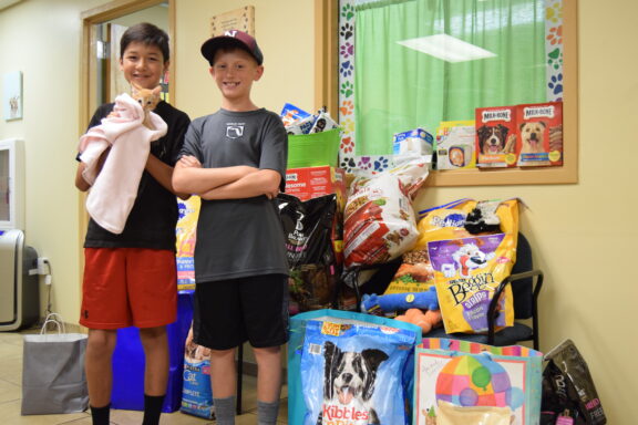 Walton County Animal Shelter Donations