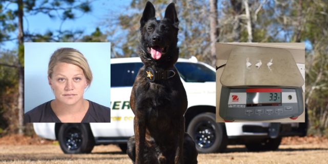 K9 Drago pictured with drugs and a mug shot of Carly McDonald.