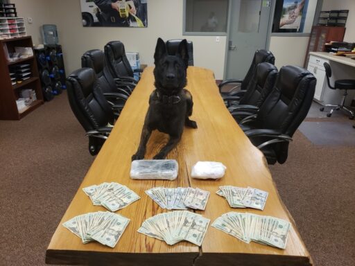 Photo of cocaine and U.S. Currency with K9 Drago