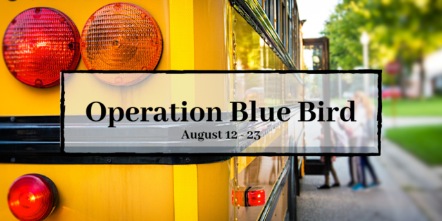 Operation Blue Bird Graphic