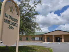 WALTON COUNTY ANIMAL SHELTER REOPENS LOBBY TO THE PUBLIC