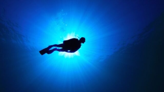 A silhouette of a diver from the bottom of the ocean looking up to the surface. 