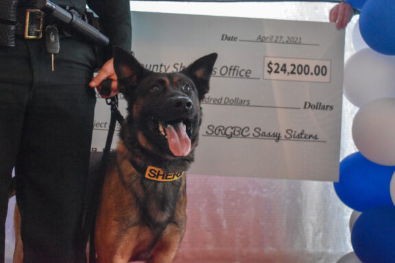 A dog standing in front of a big check