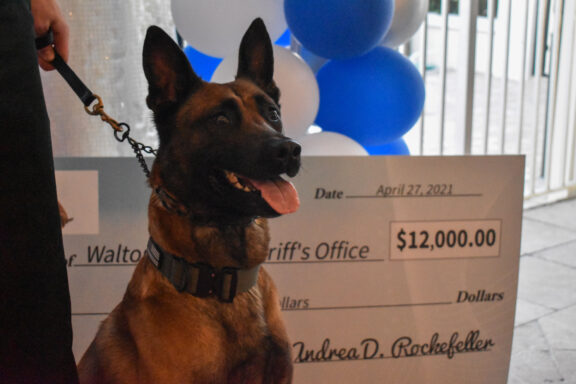 Dog standing in front of a big check with his tongue out
