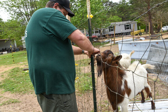 White male animal control officer mending wire fence while brown and white goat watches