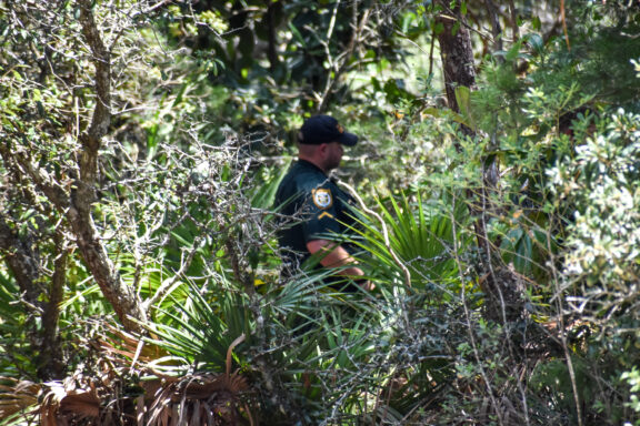 A deputy sheriff standing in a wooded area surrounded by shrubbery and trees. 