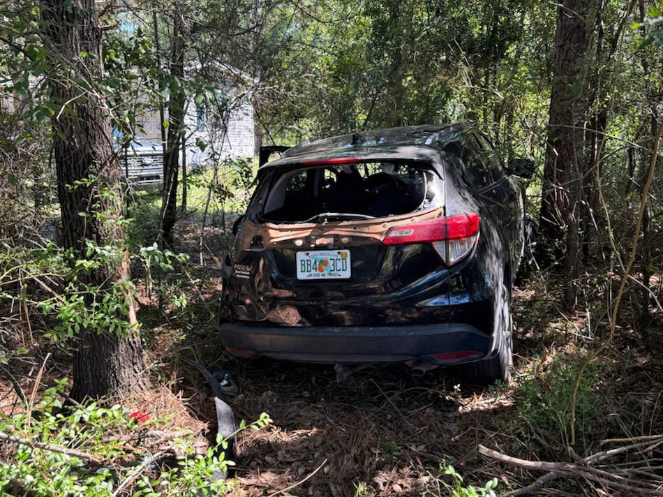 Black SUV in trees with damage
