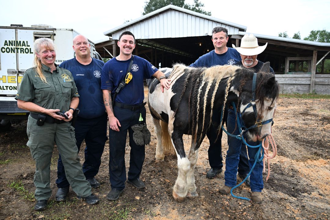 Three male firefighters and one female animal control officer standing next to a black and white horse and her male owner after being rescued