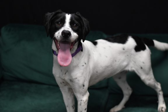 White and black colored female sitting on green couch